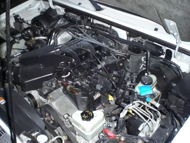 CIMG0440.jpg