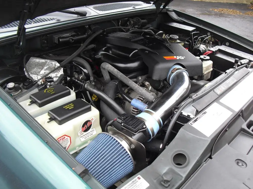 CIMG4252_zps3cb46d44.jpg
