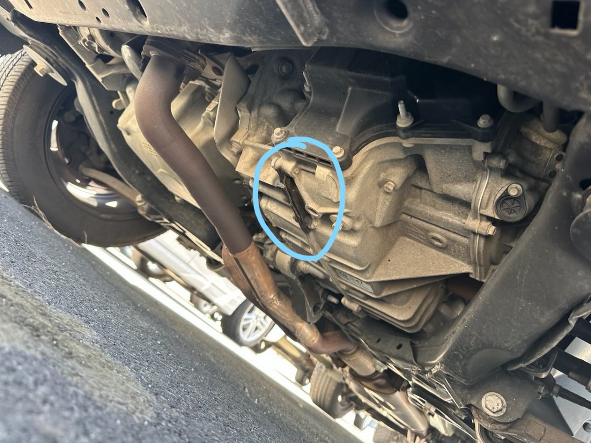 circled.jpg