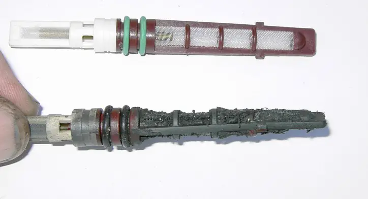 closeup.jpg