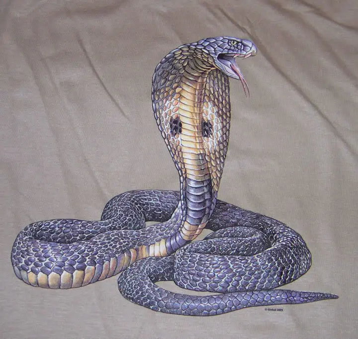 cobra20snake.jpg