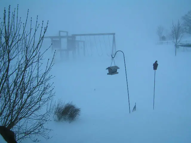 cold.jpg