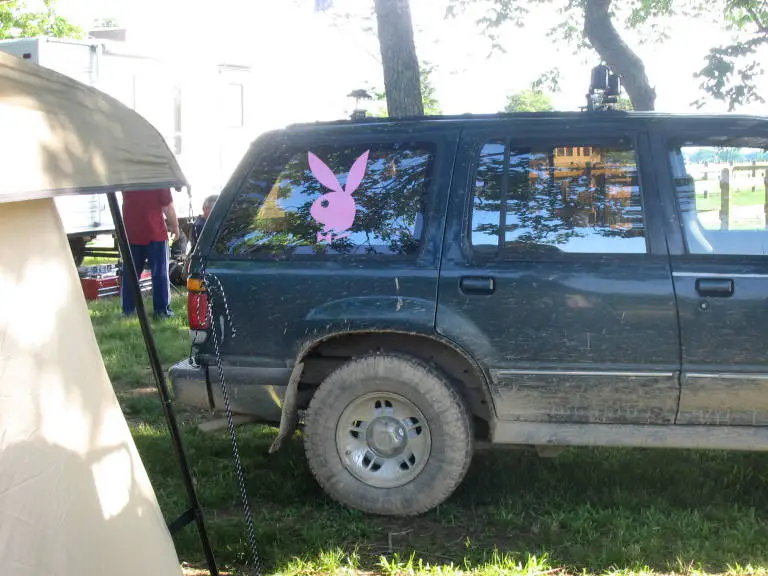 Corkeygotthebunny.jpg
