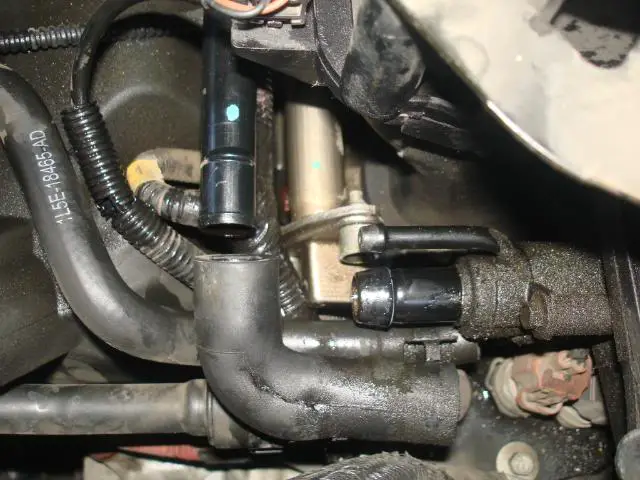 d64d8583.jpg