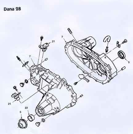dana28p1_large.jpg
