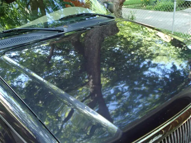 DSC00126Medium.jpg