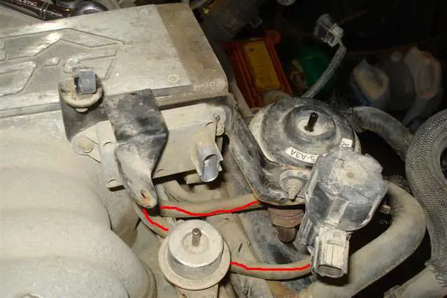 DSC00629_Medium_.jpg