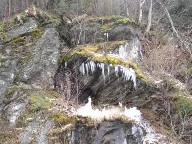 DSC00920.jpg