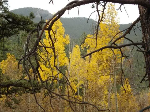 DSC00988.jpg