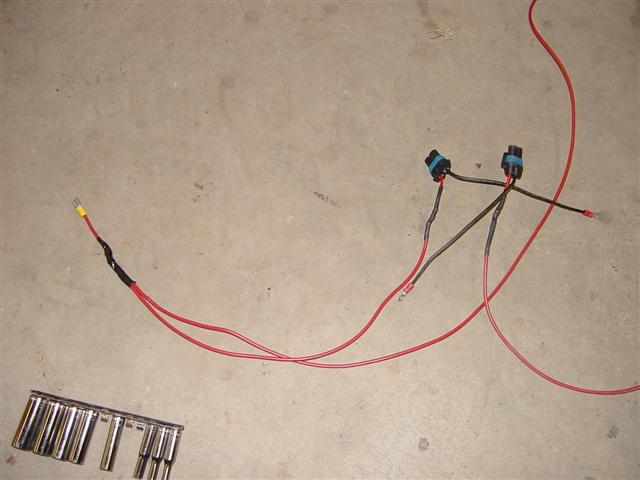 DSC01335_Small_.jpg