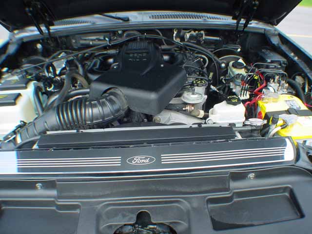DSC01355.jpg