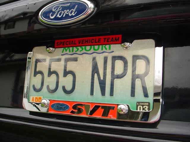 DSC01365.jpg