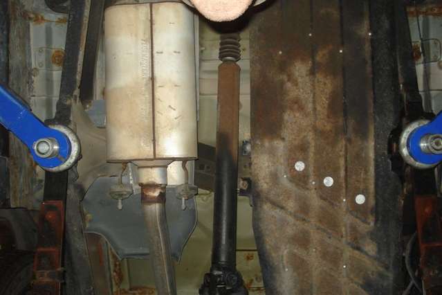 DSC01366_Medium_.jpg
