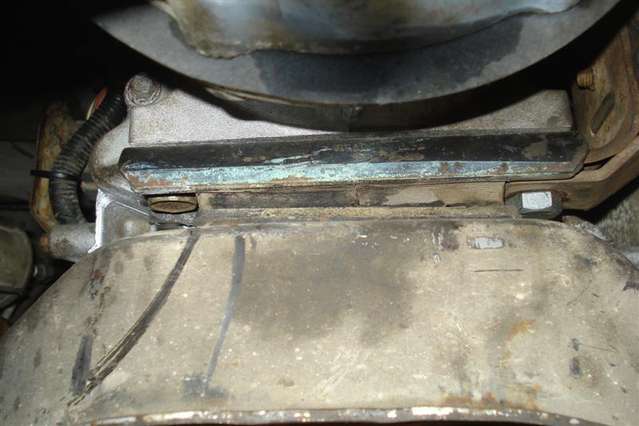 DSC01383_Medium_1.jpg