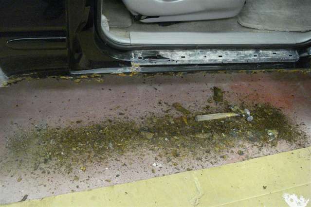 DSC01412_Medium_.jpg