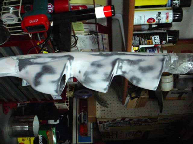 DSC02397.jpg