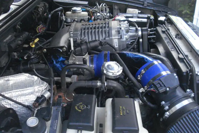 DSC04520_Medium_.jpg