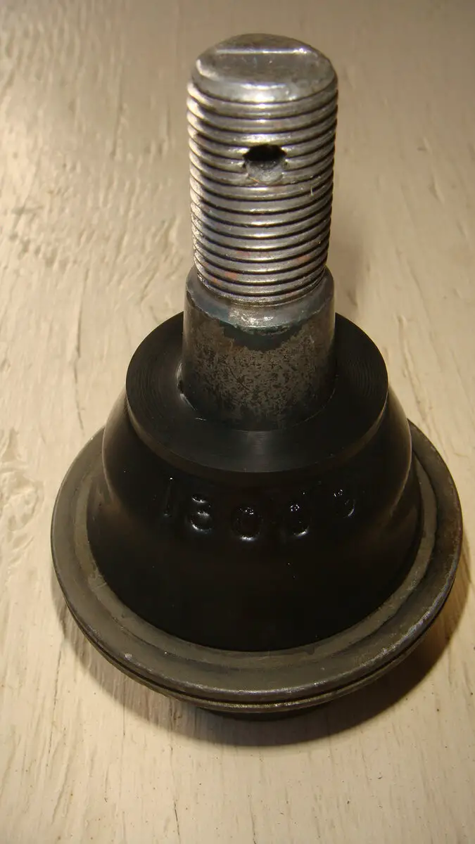 DSC08550.JPG