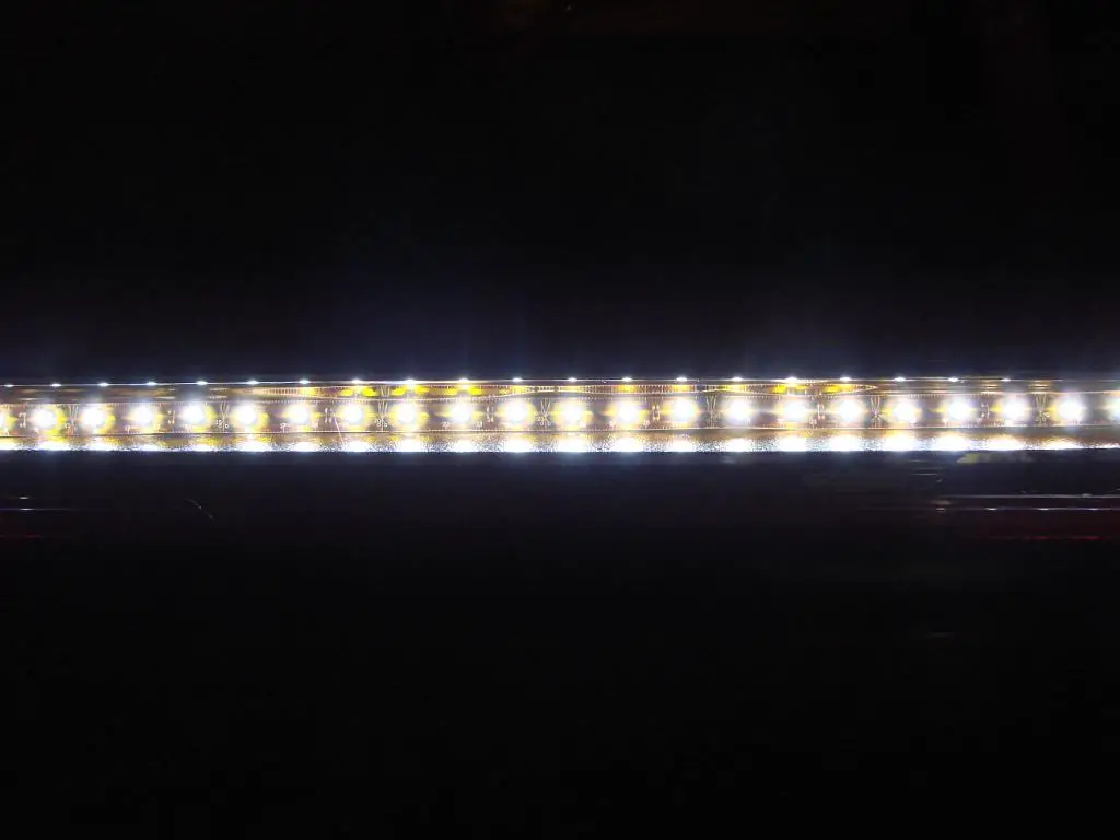 DSC09328.jpg