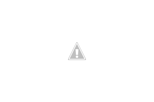 DSC_0050.png