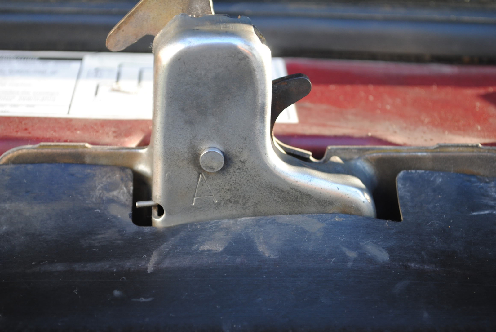 DSC_0558.jpg