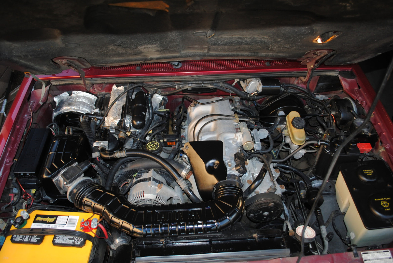 DSC_0564.jpg