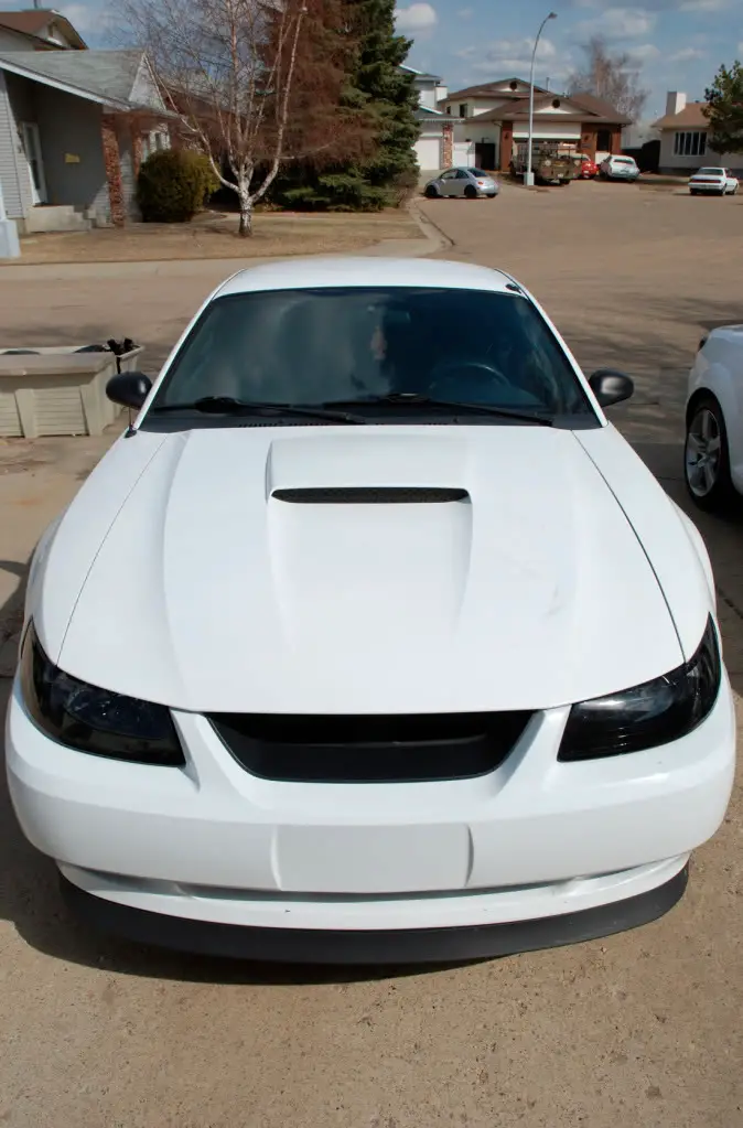 DSC_1009_2.jpg