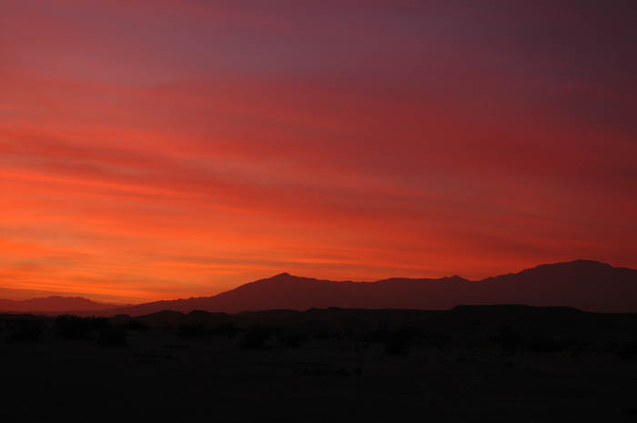 DSC_1382.jpg