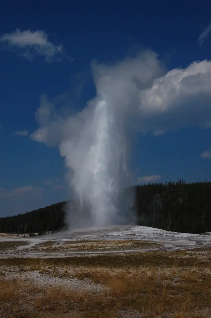 DSC_4588.jpg