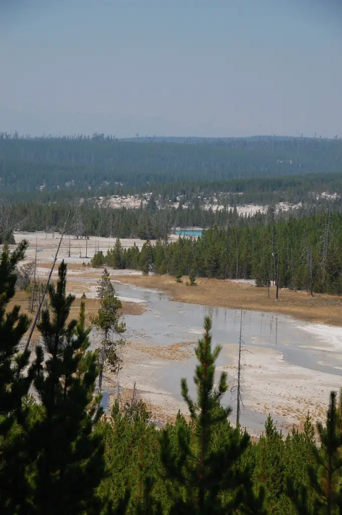 DSC_5619.jpg