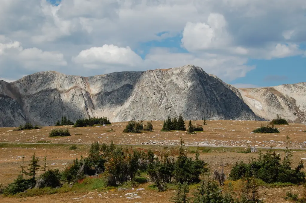 DSC_7254.jpg