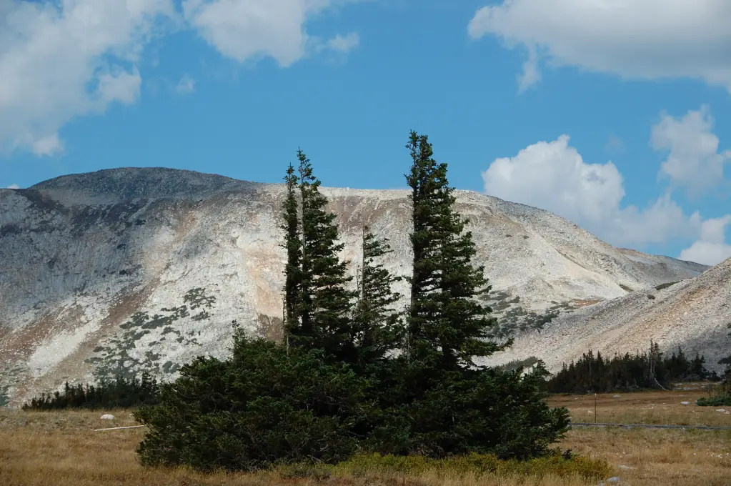 DSC_7277.jpg