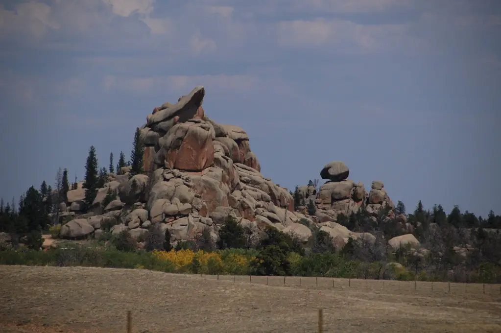 DSC_7327.jpg