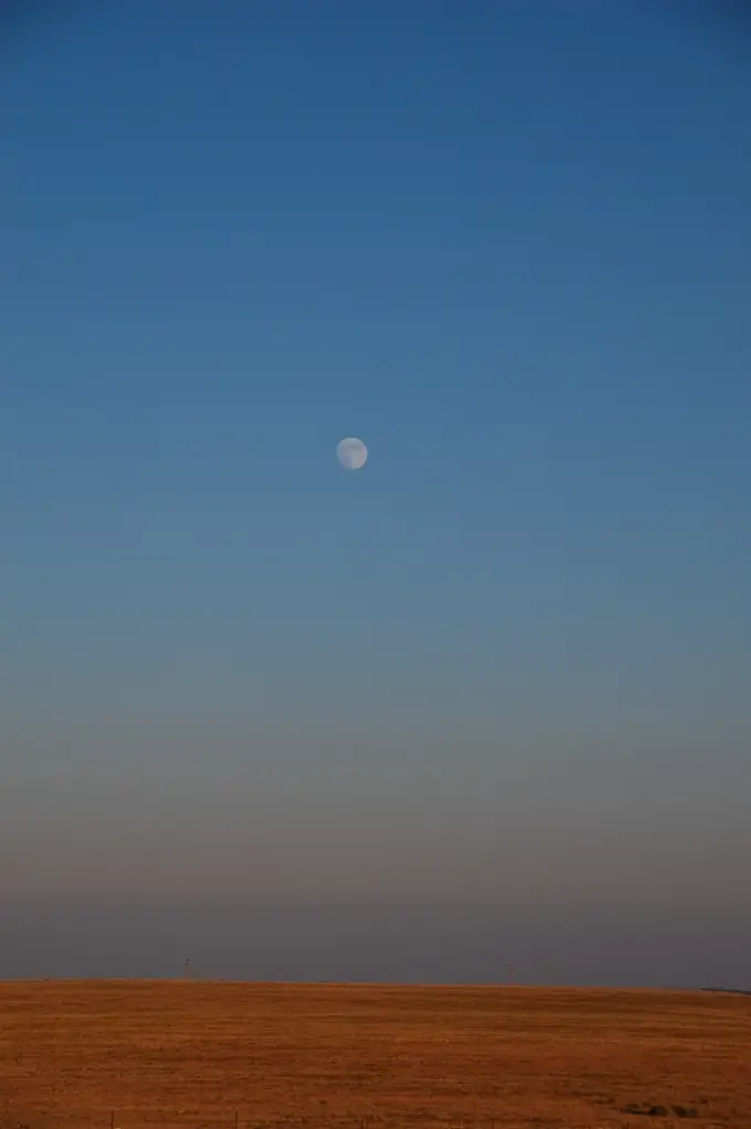 DSC_8903.jpg