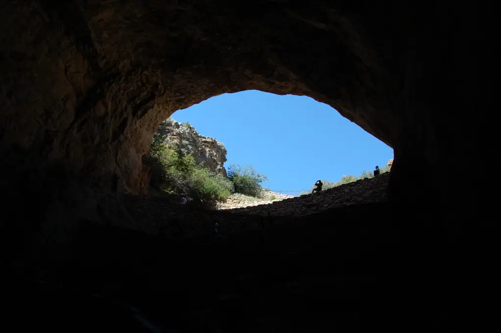DSC_9102.jpg