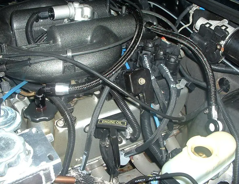 DSCF0015.JPG
