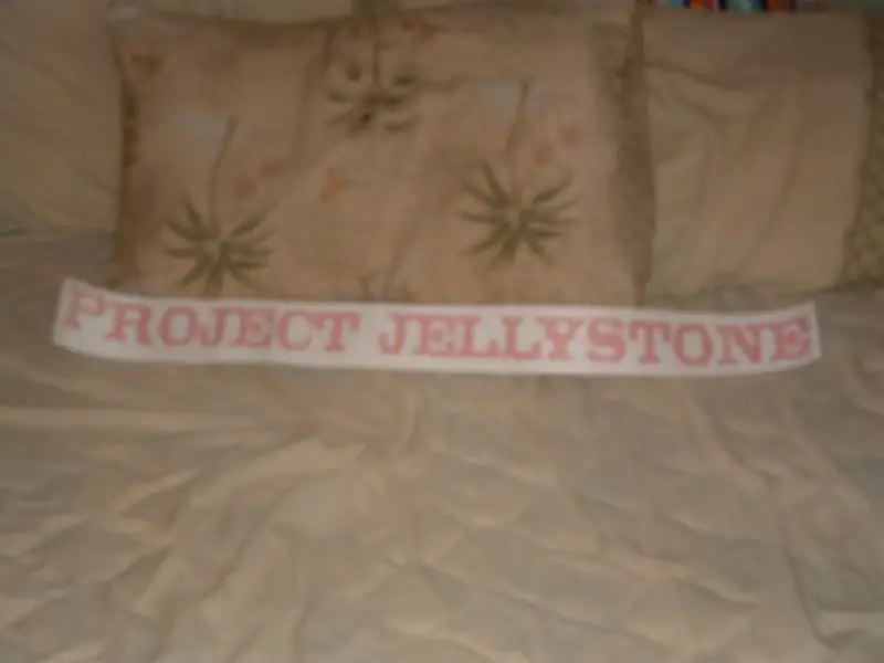 DSCF0137.jpg