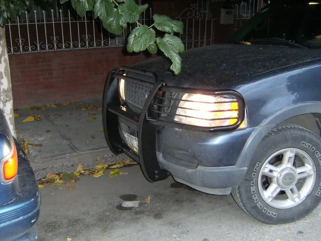 DSCF0365.jpg