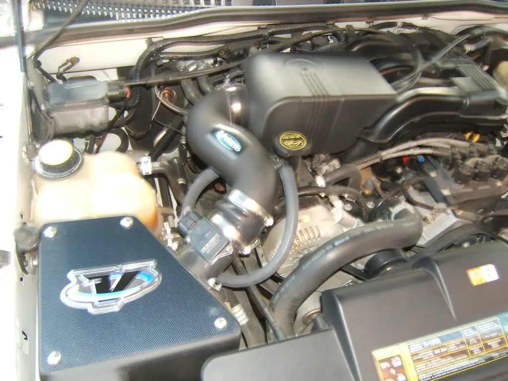 DSCF1125.jpg