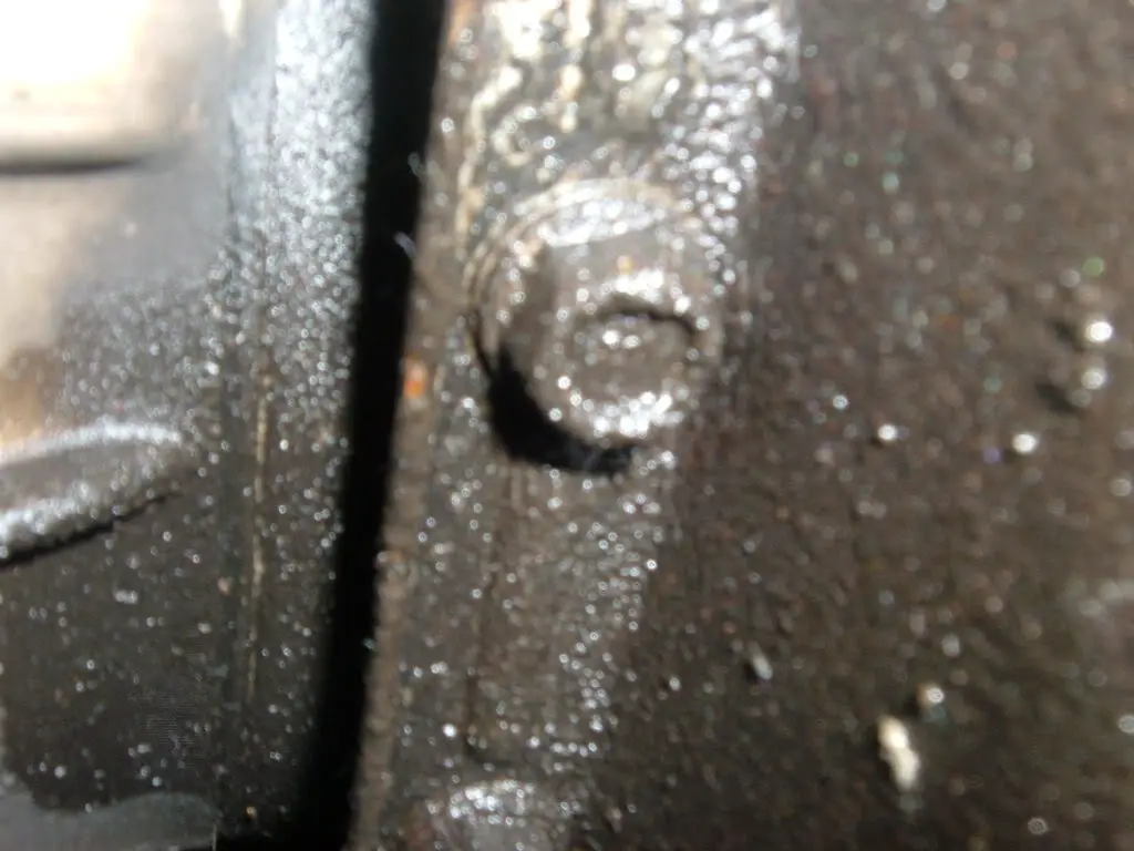 DSCF1269.jpg