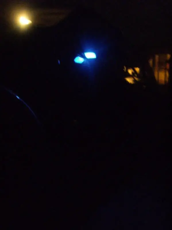 DSCF1315.jpg