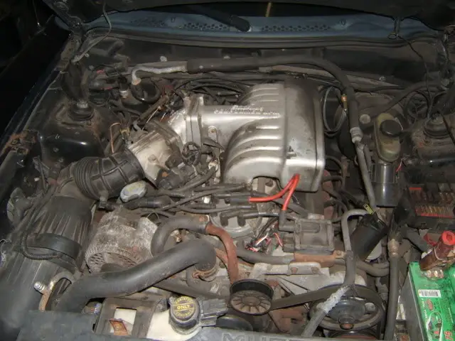 DSCF1752.jpg