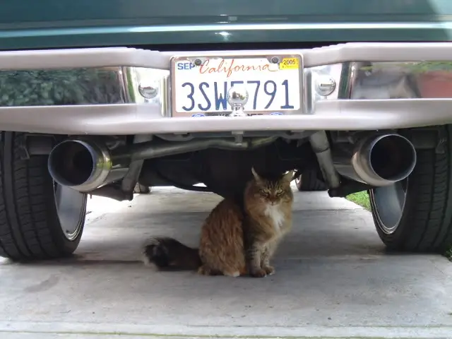 DSCF1887.jpg
