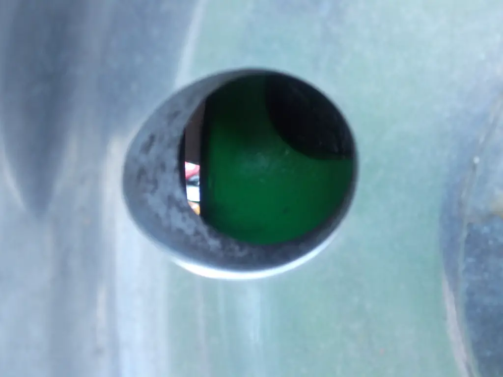 DSCF2013-1.jpg