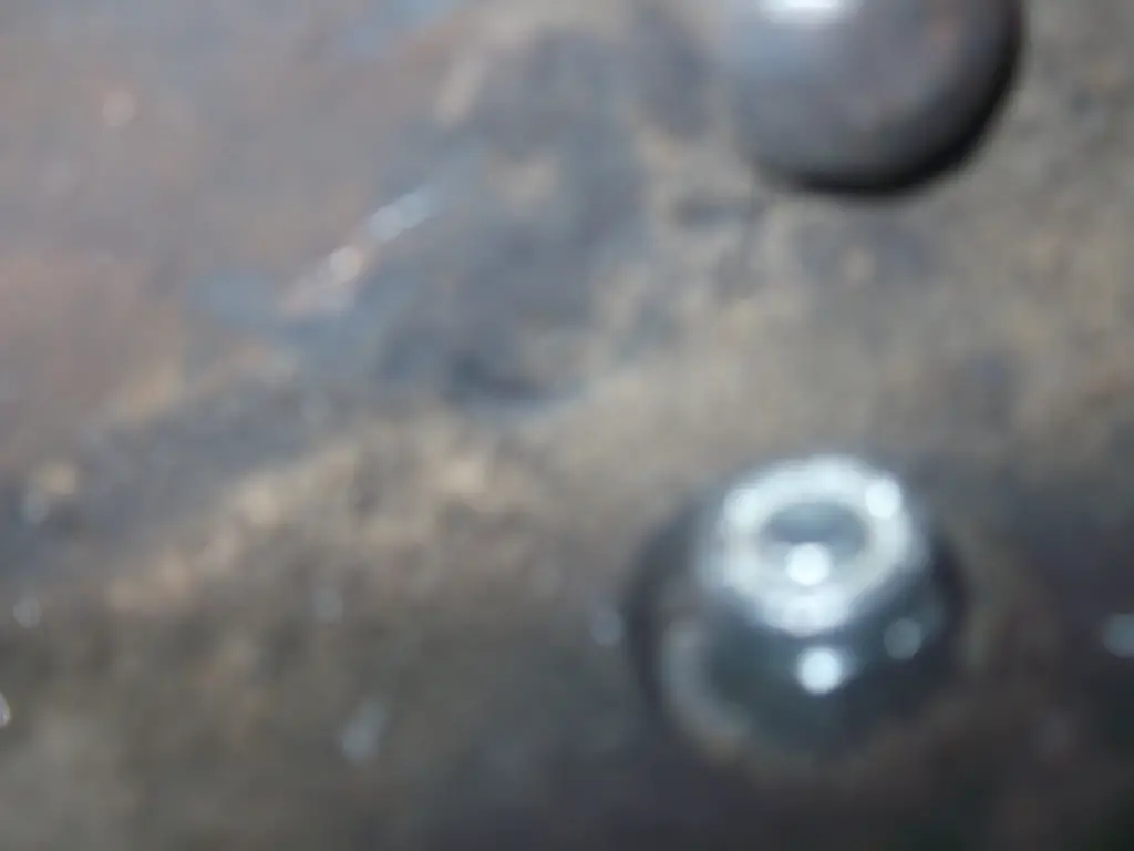 DSCF2081.jpg