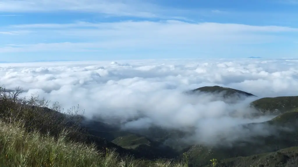 DSCF2397.jpg