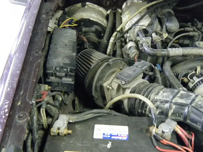 DSCF2575.jpg