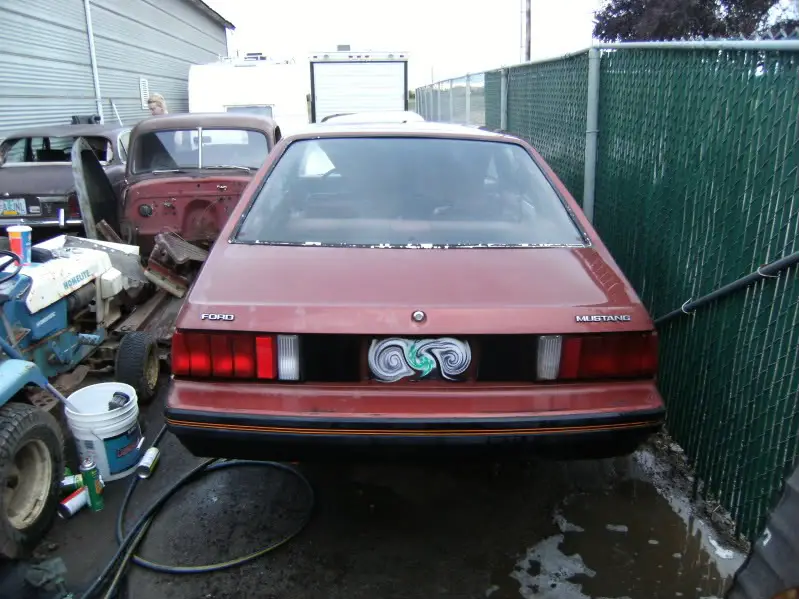 DSCF5294.jpg