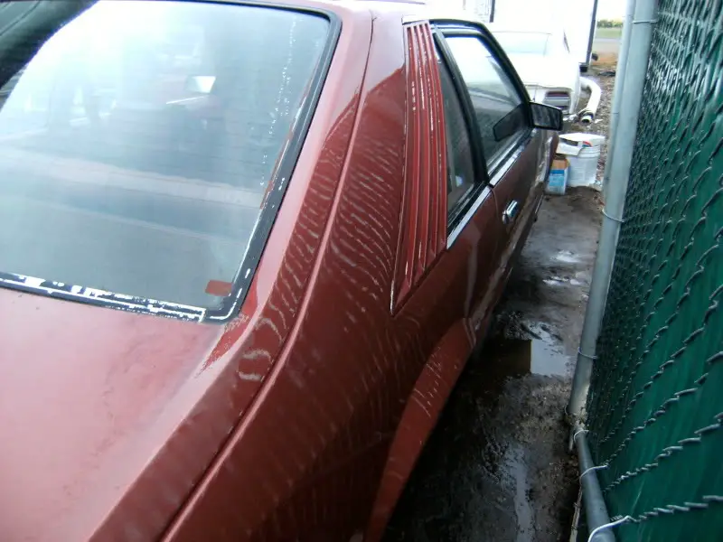 DSCF5295.jpg