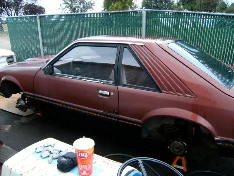 DSCF5296.jpg